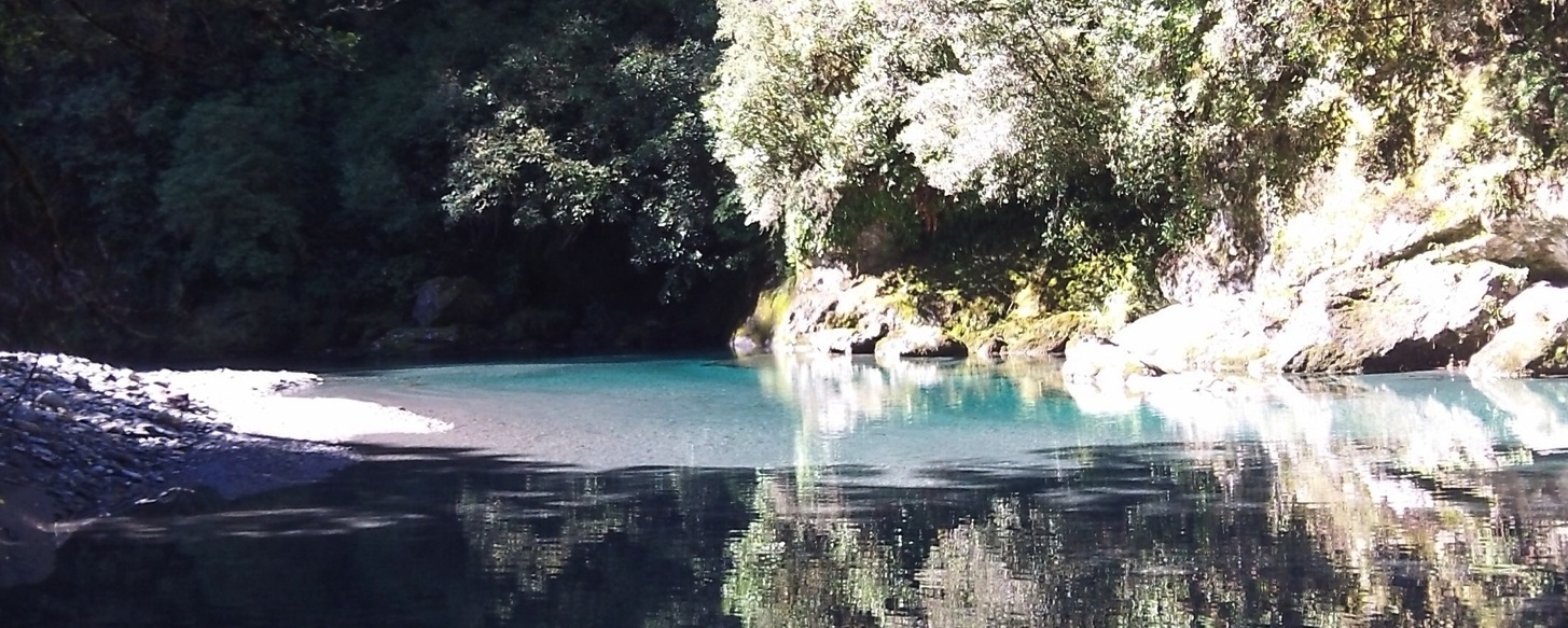 Wanaka fly fishing - Lake Wanaka