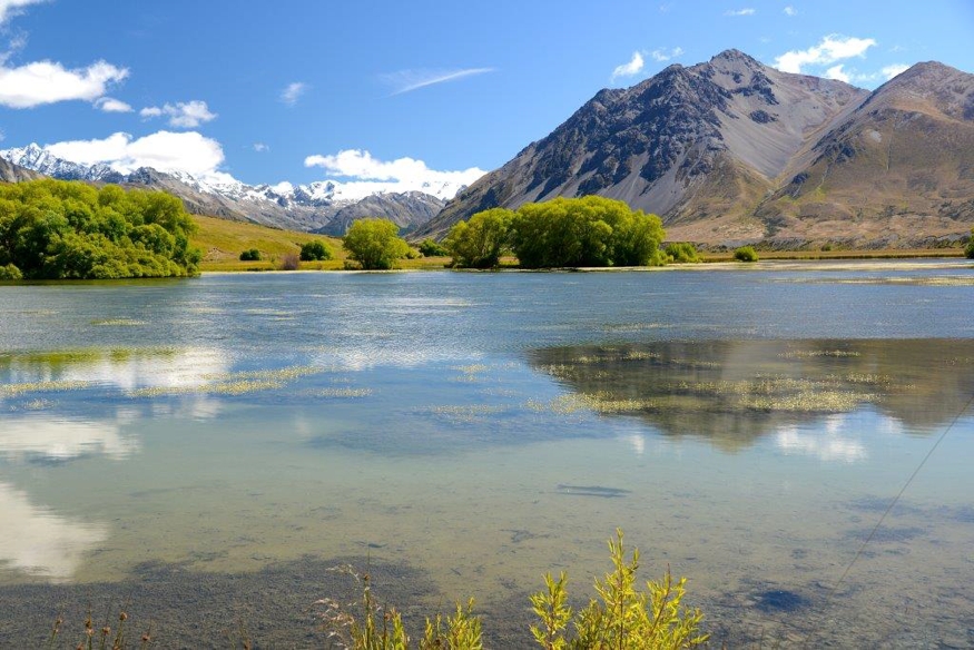 Wanaka fly fishing, guide Derek Grzelewski