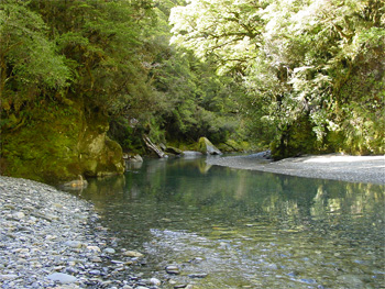 Wanaka fly fishing - Reflections